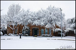 DigitalScape Photography